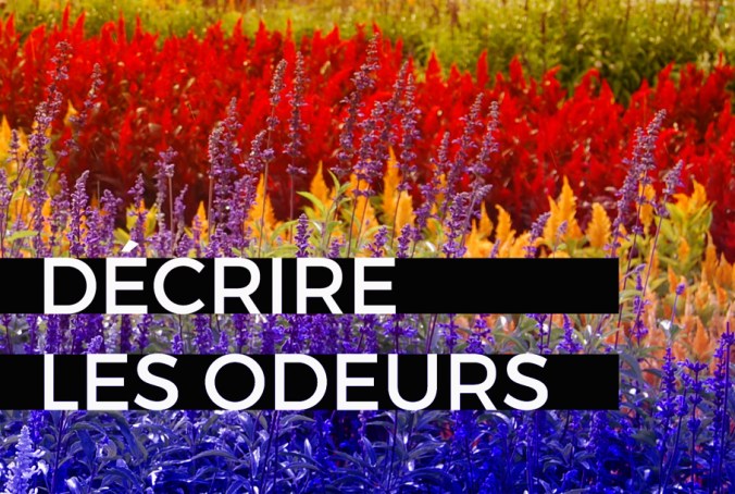 blog décrire odeurs