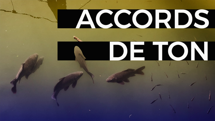 blog accords de ton