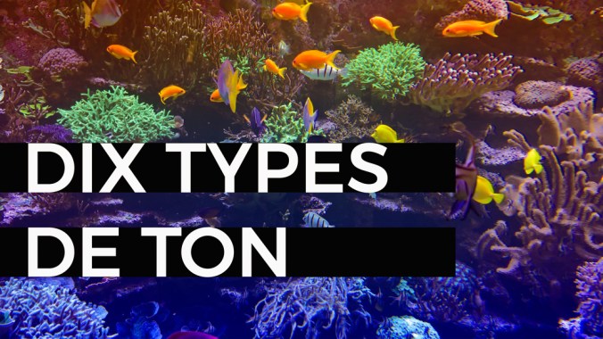 blog dix types de ton